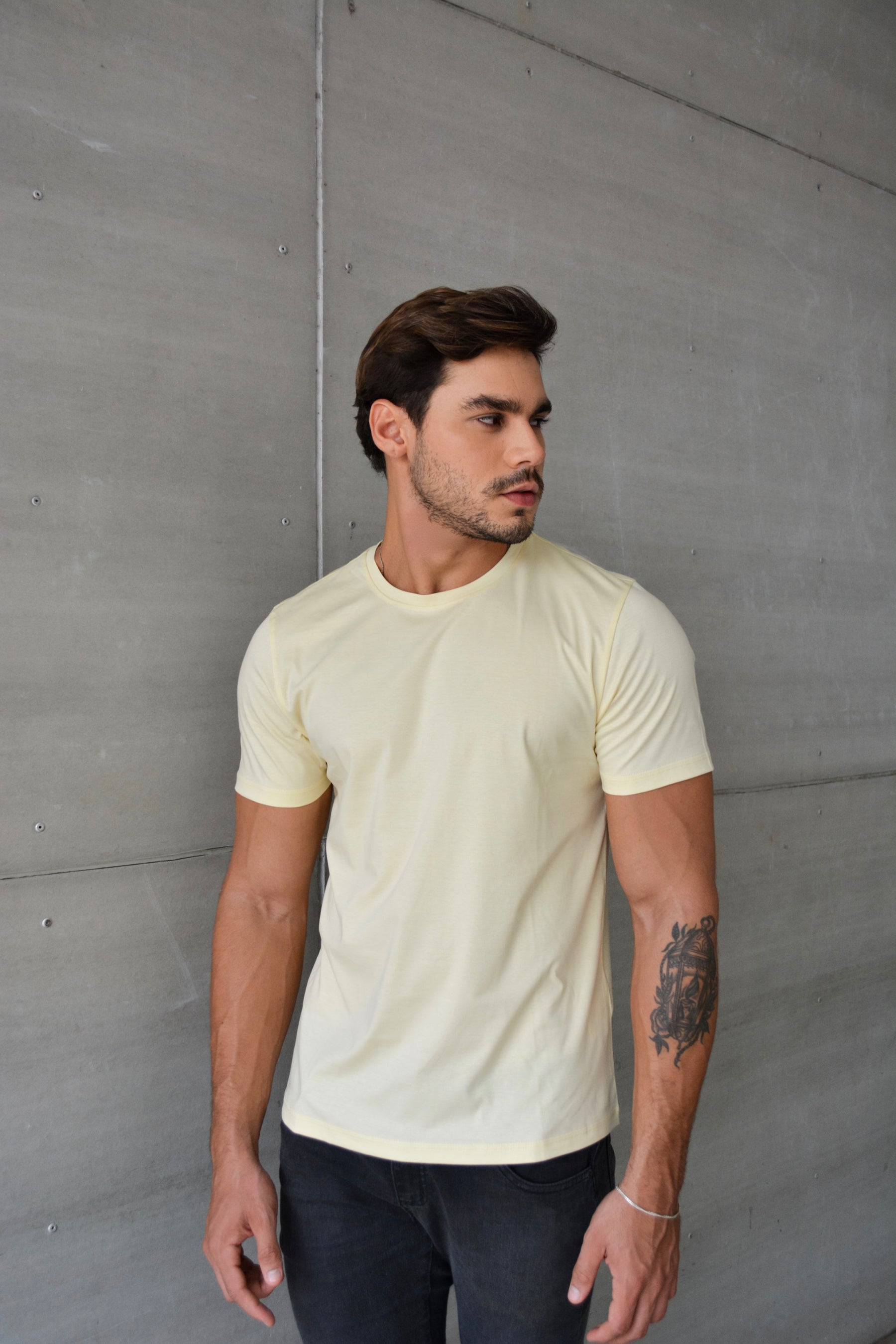 Camiseta Algodão Pima Stefano Dutti Damasco