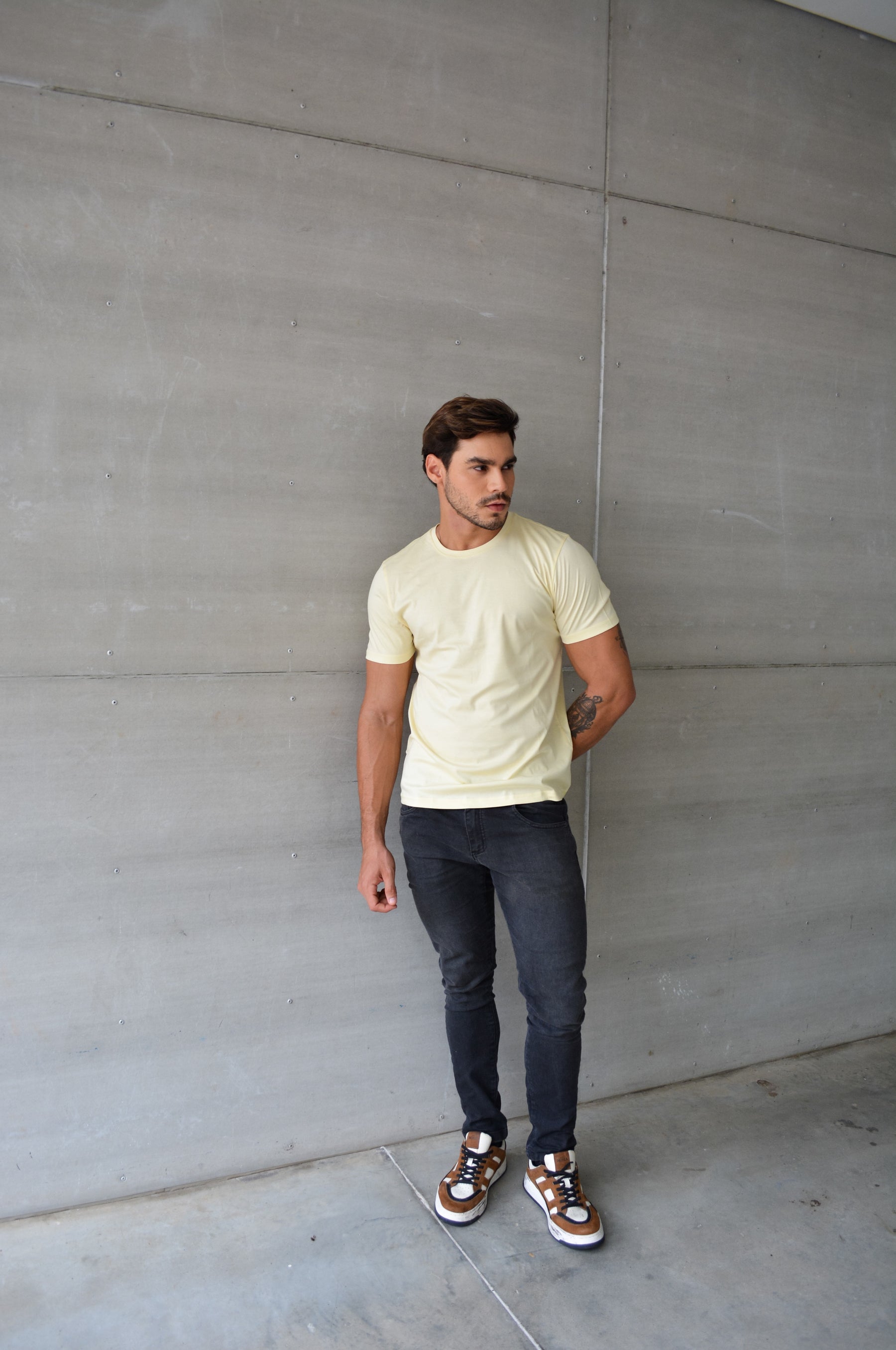 Camiseta Algodão Pima Stefano Dutti Damasco